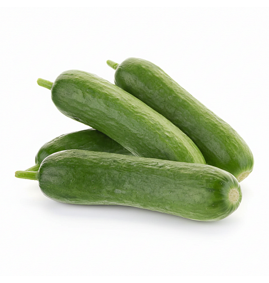 Kumara CE Baby Rocky F1 Ø13