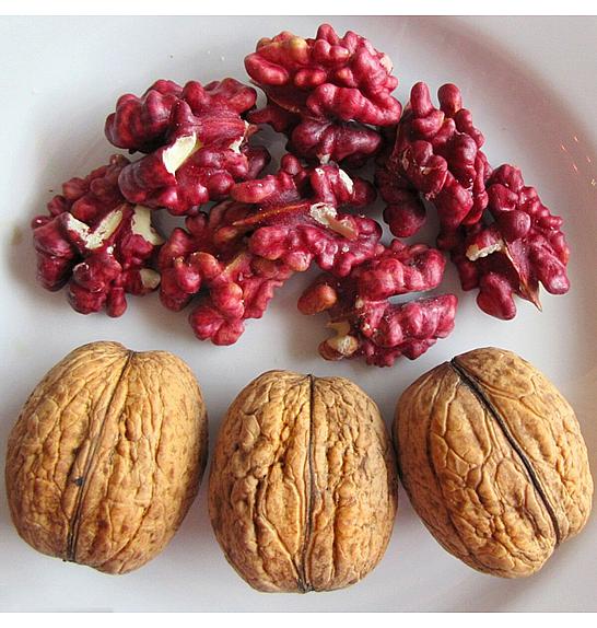 Juglans regia Sychrow C6,5 Lit. 80-100 cm