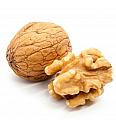 Juglans regia Buccaneer C5 Lit. 80-100 cm