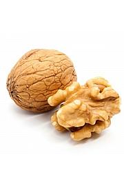 Juglans regia Buccaneer C5 Lit. 80-100 cm