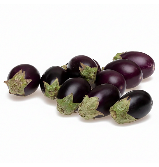 Jajčevec Jackpot F1 Ø10,5