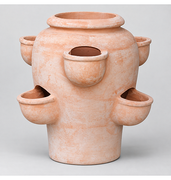 Jagodnjak Terracotta; D50H48; 1#