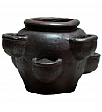 Jagodnjak Kamnit;D43H31;5141455