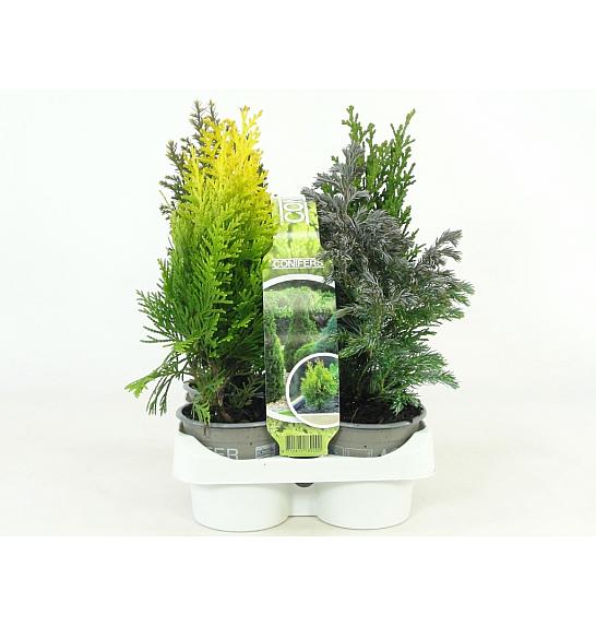 Iglavci Ø9 mix 4 pack