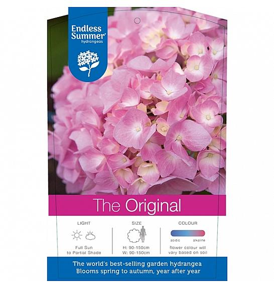 Hydrangea macrophylla The Original Pink C10 Lit. 25-35 cm