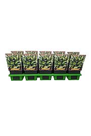 Hosta Whirl Wind Ø11