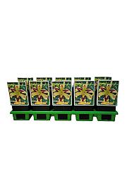 Hemerocallis Free Wheelin Ø11