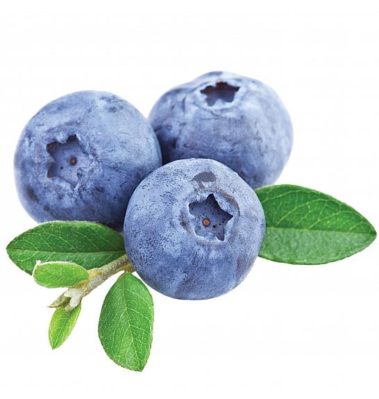 Vaccinium corymbosum Duke C2 Lit. 30-40 cm