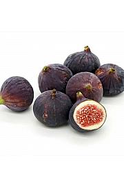 Ficus carica Rode de Bordeaux C2 Lit. 30-40 cm