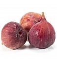 Ficus carica Brown Turkey C2 Lit. 30-40 cm