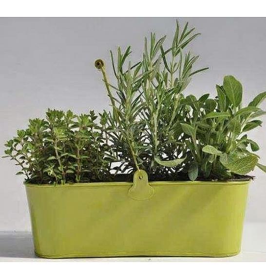 Dišavnice Ø9 mix kovinsko korito