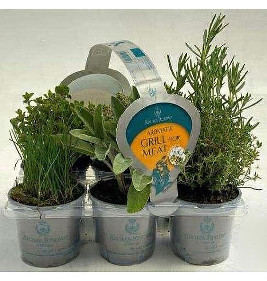 Dišavnice Ø9 mix 6 pack meat grill