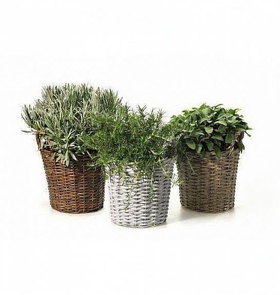 Dišavnice Ø14 mix leseni pleteni lonček