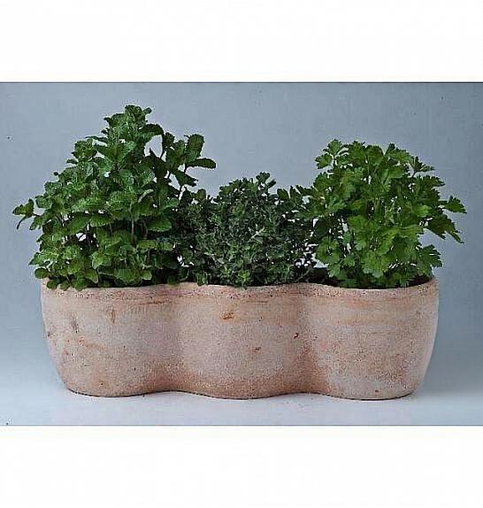 Dišavnice Ø14 mix 3 pack terracotta lonec