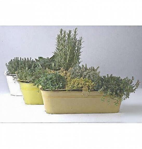 Dišavnice mix 40 cm kovinsko korito