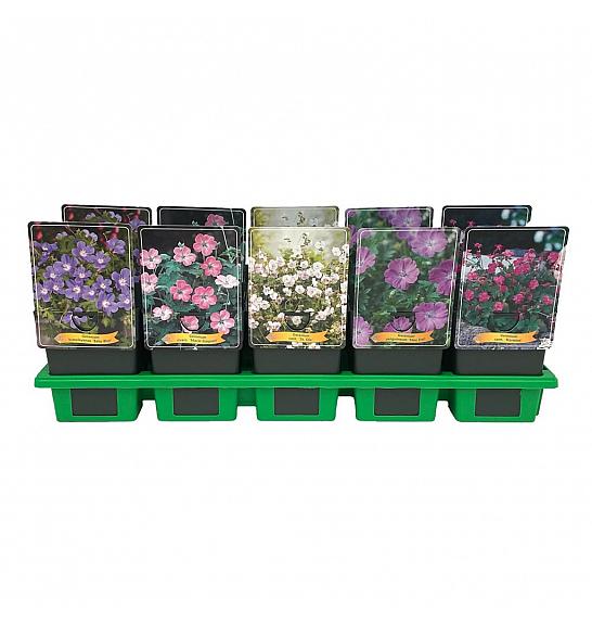 Geranium mix Ø11