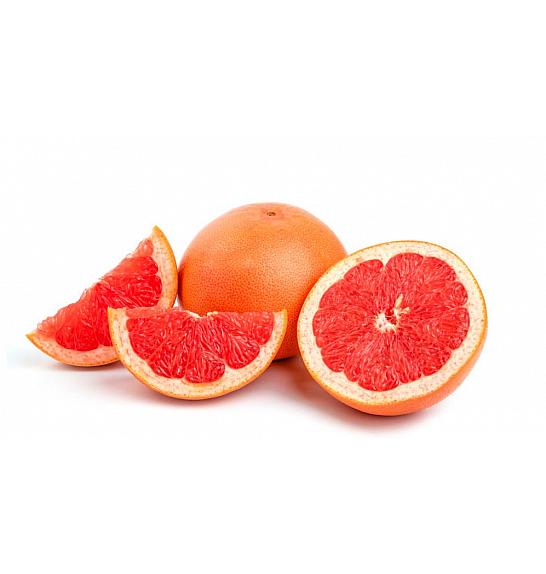 Citrus paradisi Grapefruit Ø20 Na steblu 30 cm