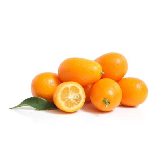 Citrus japonica Kumquat Ø20 Na steblu 40 cm