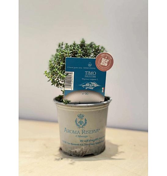 Aroma riserva Thymus faustini Ø9