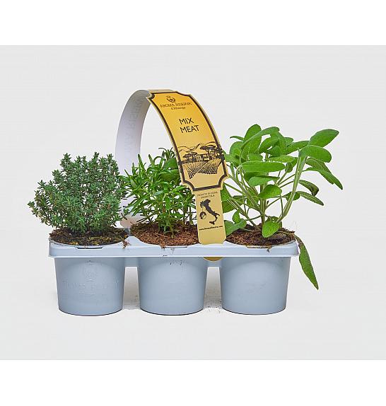 Aroma riserva Ø9 mix 3 pack meat