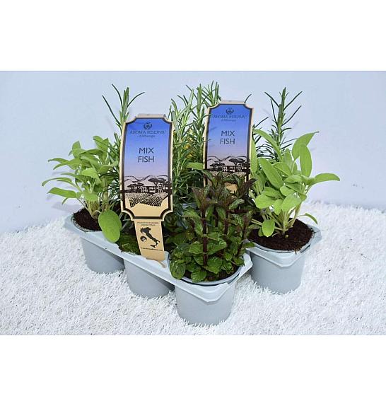 Aroma riserva Ø9 mix 3 pack fish
