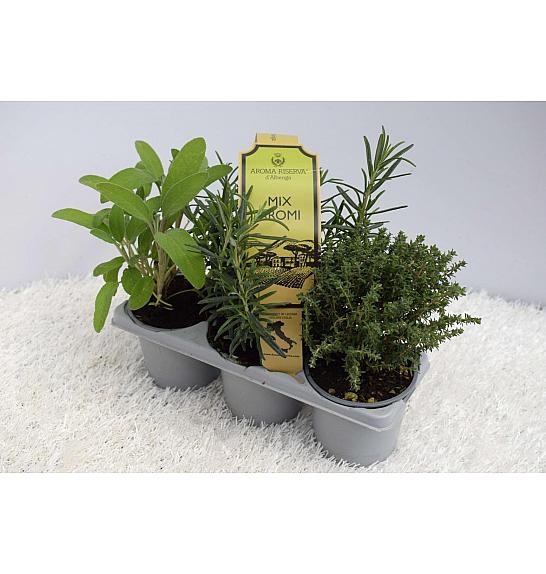 Aroma riserva dišavnice Ø9 mix 3pack