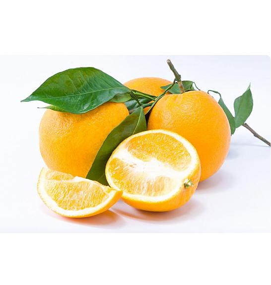 Citrus sinensis Limon Carrubaro Ø20 Na steblu 30 cm