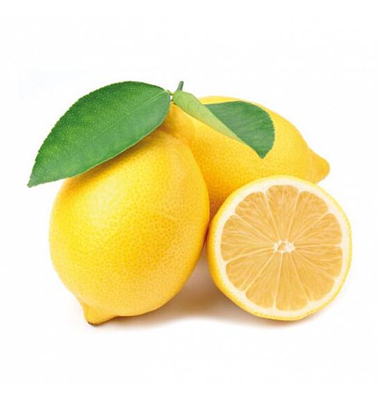 Citrus sinensis Limon Zagara Bianca Ø24 Na steblu 50 cm