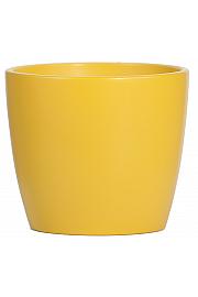 LONEC ZT7200 12 CM CITRO 221-120-103-220-1-PT1 D 12cm, H 9,5 cm