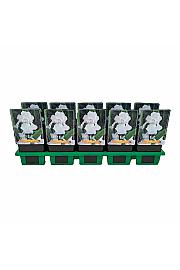 Iris germanica Glacier Ø11