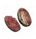 Citrus australasica Caviale Ø 22  Na steblu 40 cm