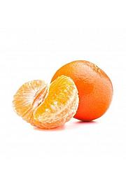 Citrus reticulata Mandarina Ø 50 Na steblu 60 cm