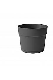 Lonec BLOOM  Ø38 H31 ; ASH ; Flora