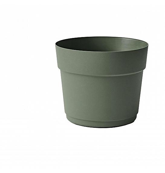 Lonec BLOOM  Ø29 H24 ; FOREST ; Flora