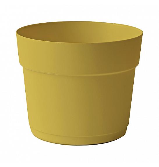 Lonec BLOOM  Ø38 H31 ; OCHRE ; Flora