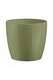 Lonec MADEIRA  Ø22,5 H20 ; OLIVE ; Colour