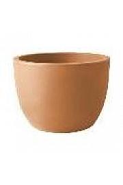 Lonec ARES  Ø50 H37 ; ANTICATO ; Bold