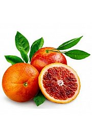 Citrus sinensis Moro Ø20 Na steblu 30 cm