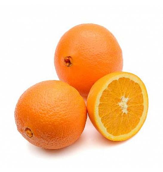 Citrus sinensis Washington Ø20 Na steblu 30 cm