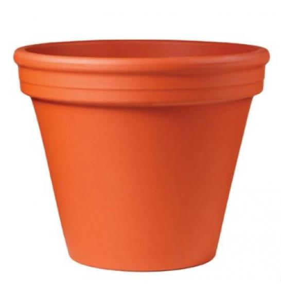 Lonec BLT Natur; 001-001-33; Ø38H30
