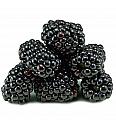Rubus fruticosus Black Satin C2 Lit. 40-60 cm