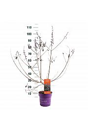 Vitex Flip Side C3 Lit. 40-60 cm