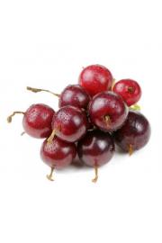 Ribes nidigrolaria Josta C2 Lit. 40-60 cm (25877)