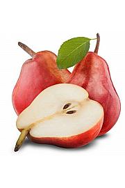 Pyrus communis Red Williams C5 Lit. 80-100 cm Patio