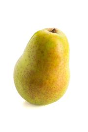 Pyrus communis Louisa - Mini C5 Lit. Na steblu 50 cm