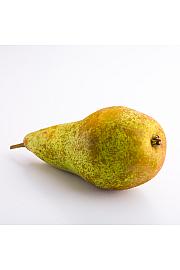 Pyrus communis Conference C5 Lit. 80-100 cm