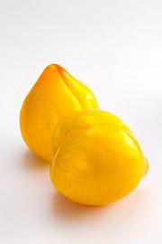 Prunus domestica Yellow Shark C5 Lit. 60-80 cm Na steblu