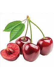 Prunus avium Sylvia C7,5 Lit. 125-150 cm Stebričasta