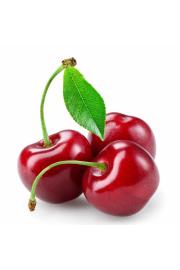 Prunus avium Stella Compact C5 Lit. 60-80 cm Na steblu