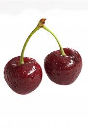 Prunus avium Regina C5 Lit. 80-100 cm